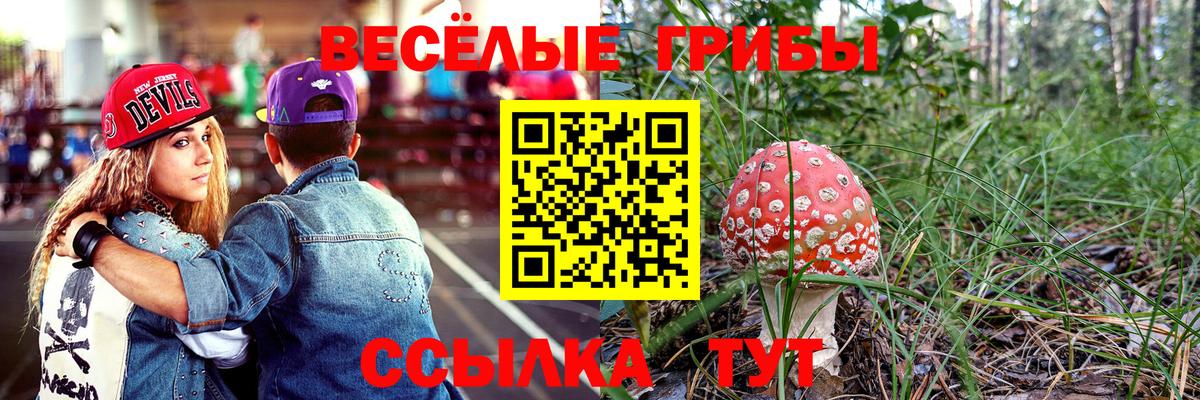 Галлюциногенные грибы мицелий  Вход с VPN  Галлюциногенные грибы Cubensis  купить наркоту  Кисловодск 